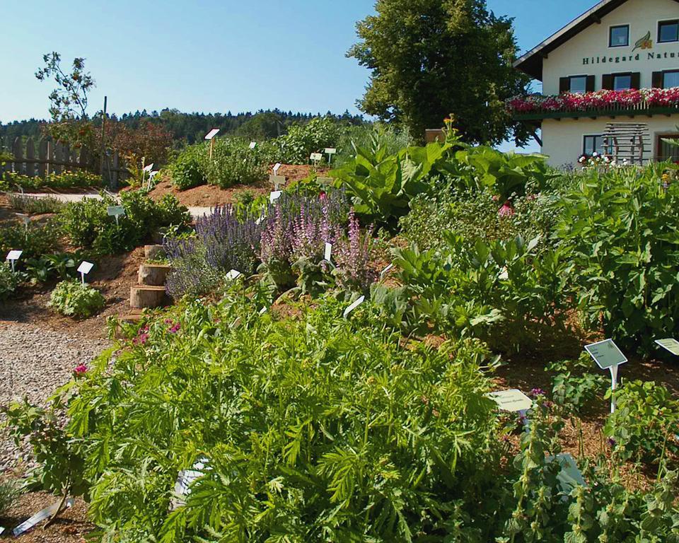 Hildegard Naturhaus Kirchberg bei Mattighofen